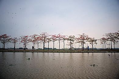 合作清版动作《英勇无厌》11.16发售 试玩版已上线